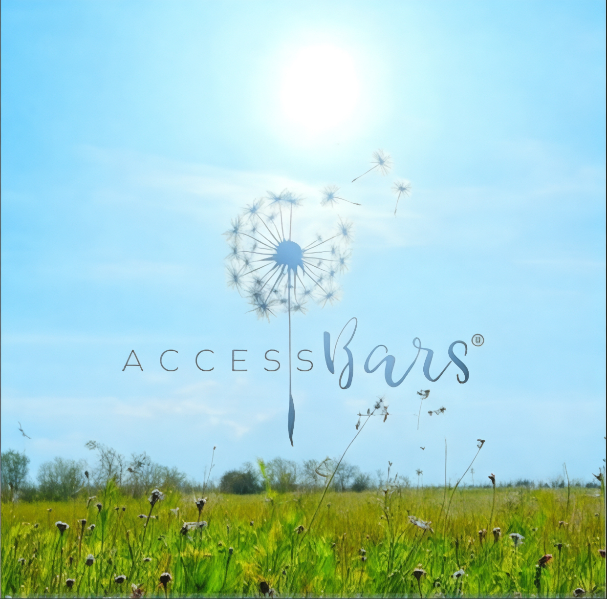 Ambiance douce pour une séance Access Bars